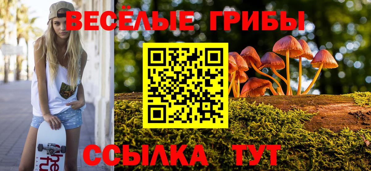 Иркутск  Галлюциногенные грибы MAGIC MUSHROOMS  Вход с VPN 